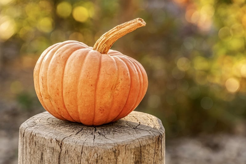 Fall Foliage